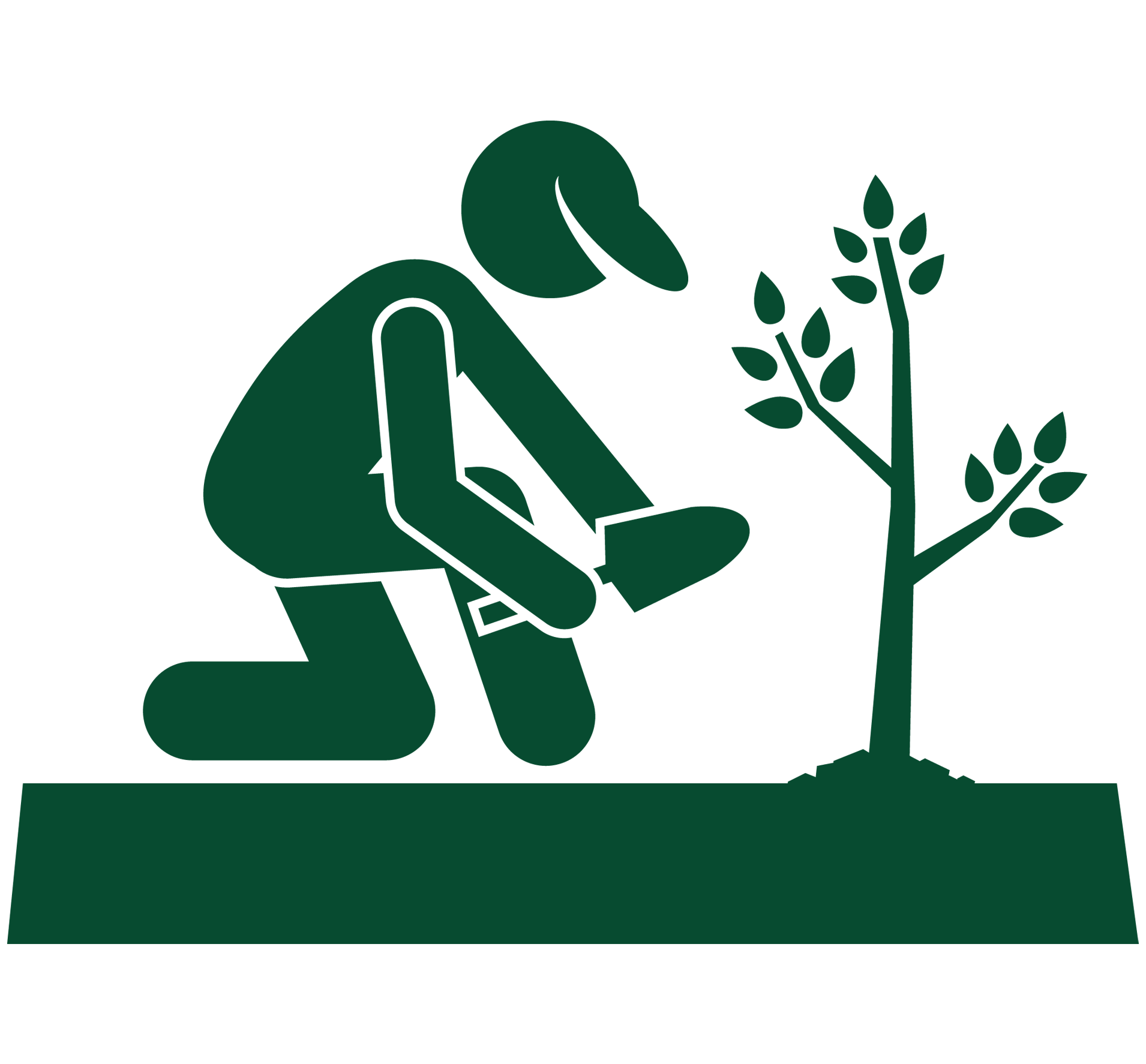Planting